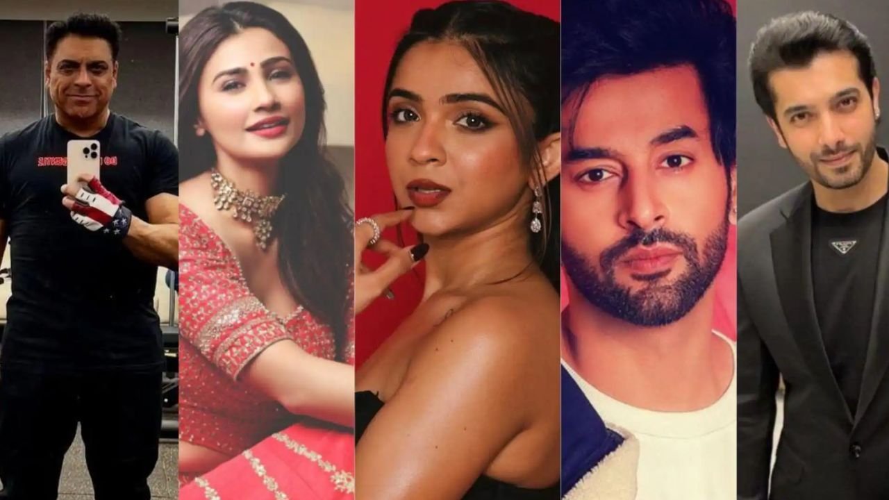 Read more about the article Bigg Boss Season 19: Full List of Confirmed Contestants and Wild Card Entries